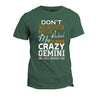 Dont Flirt With Me Love Husband He Crazy Gemini T-Shirt